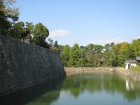 IMG_3311.JPG